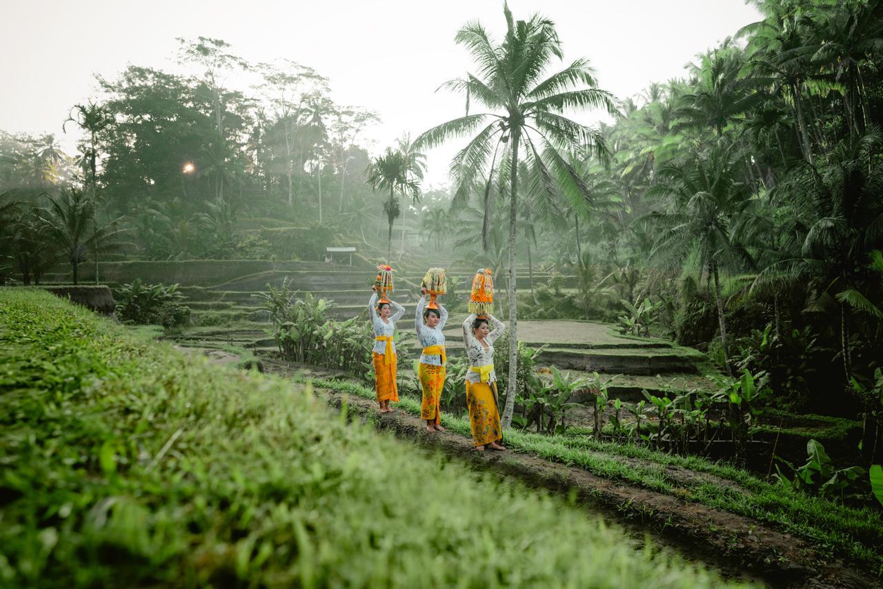Bali Akan Fokus pada Kelestarian Lingkungan Untuk Wujudkan Pariwisata