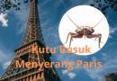Kutu Busuk Menyerbu Paris ?