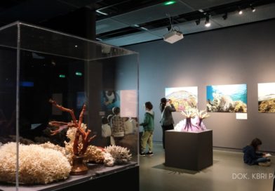 Peluncuran Katalog Koleksi Indonesia di Museum-Museum Prancis : Langkah  Strategis Diplomasi Budaya Indonesia